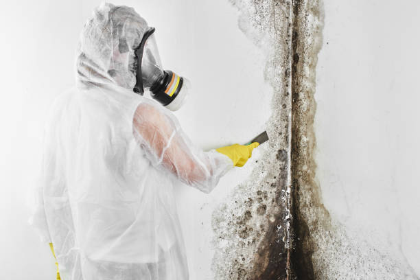 Best Emergency Mold Removal  in Coord, NC